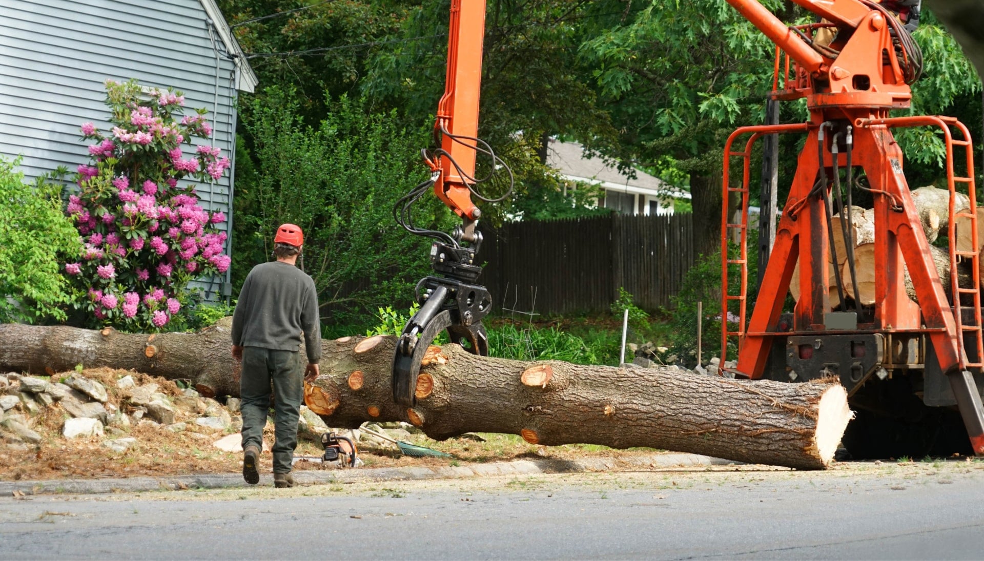 Expert tree removal services in Hendersonville, TN, providing safe and efficient removal of trees from residential and commercial properties. Our skilled and licensed arborists use advanced techniques and equipment to ensure the safe and complete removal of trees, no matter the size or location.
