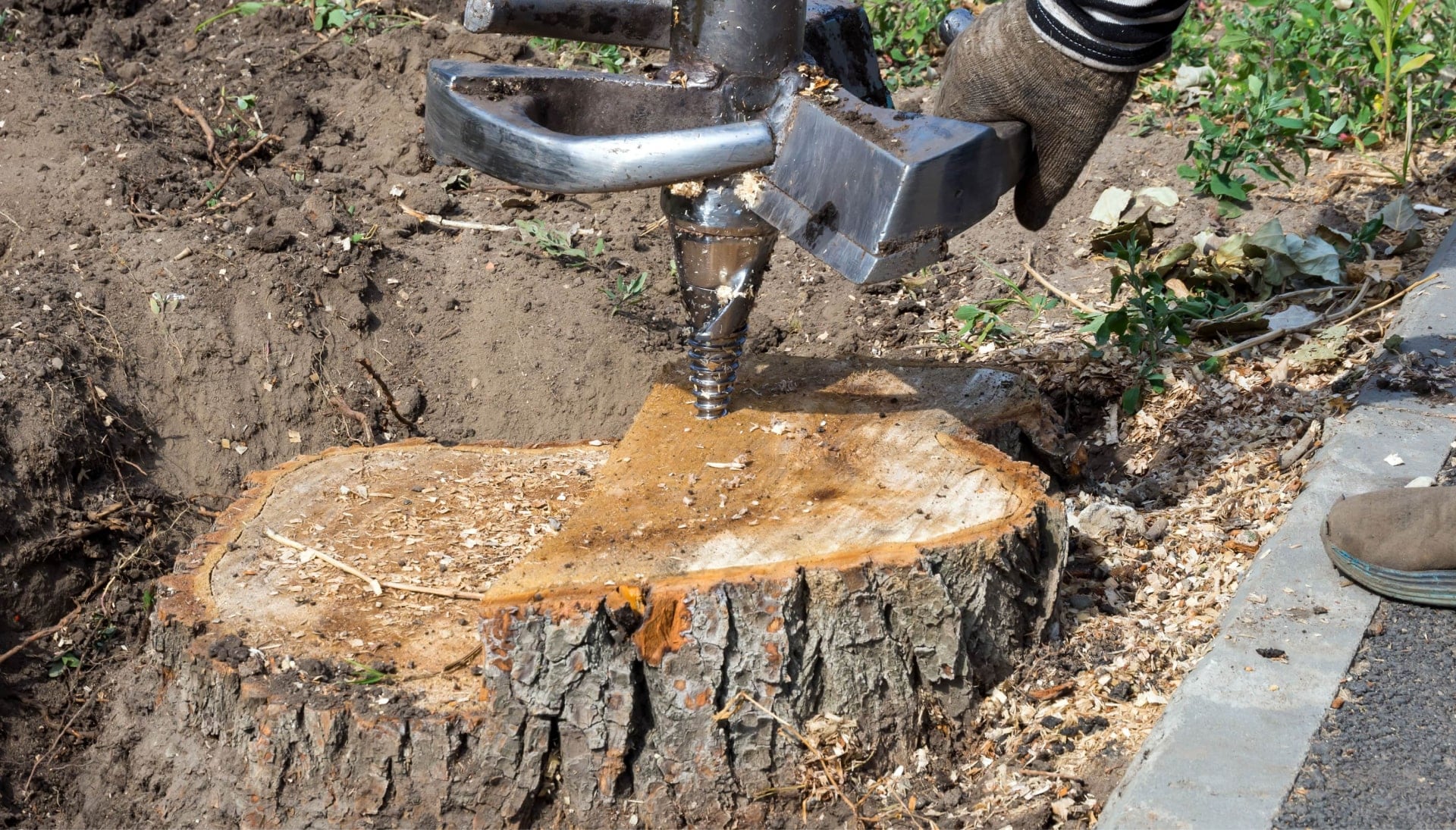 Professional stump removal service in Hendersonville, TN, offering expert and reliable removal of tree stumps from residential and commercial properties. Our skilled arborists use state-of-the-art equipment to safely and efficiently remove tree stumps, leaving your property free of tripping hazards and unsightly stumps.